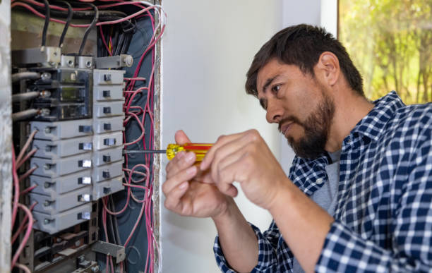 Best Electric Panel Repair  in Boerne, TX